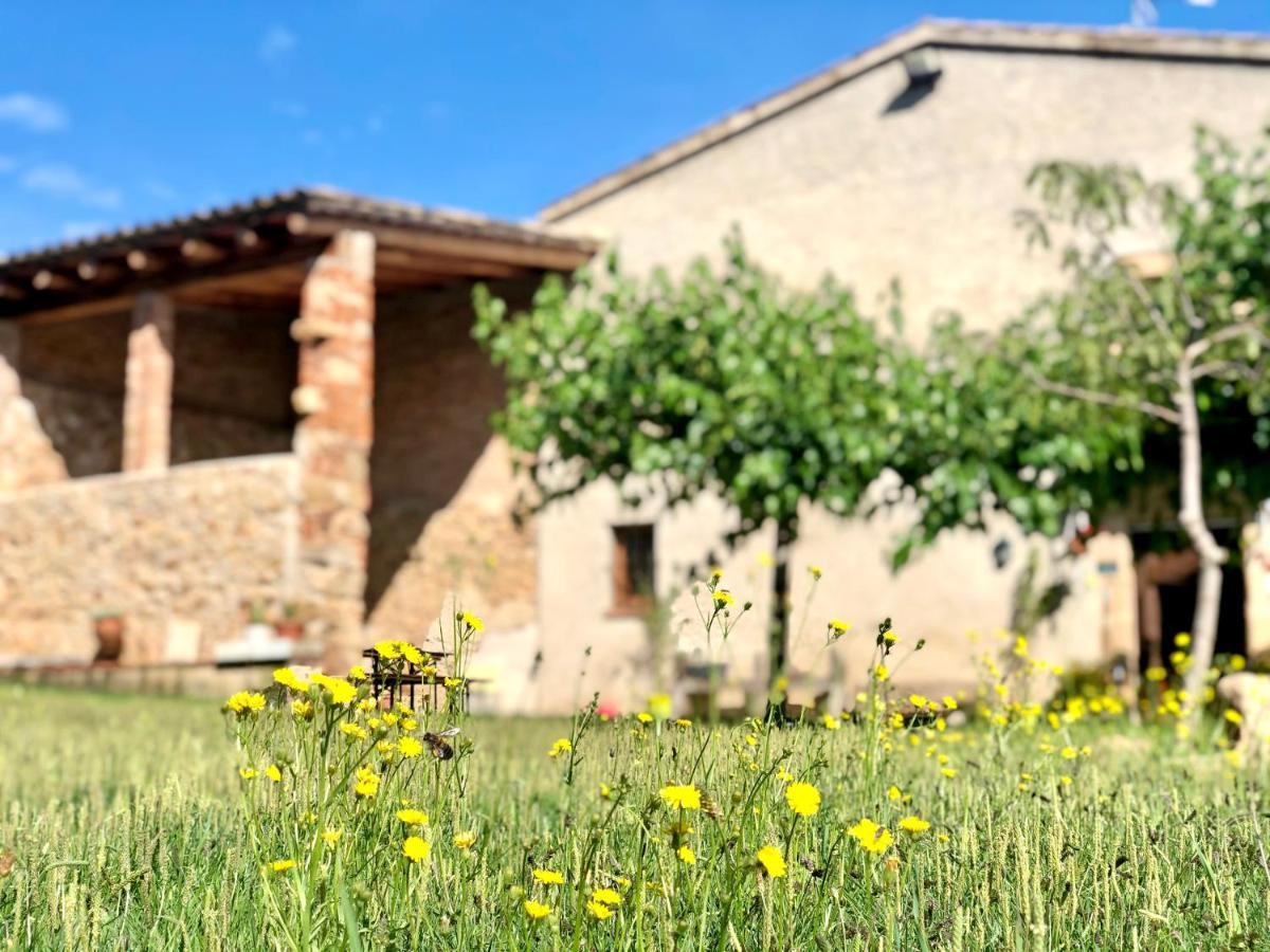 سانتا كولوما دي فارنرس Casa Rural Can Miquel - En Pleno Bosque Y Cerca De La Playa - Increibles Rutas Btt المظهر الخارجي الصورة