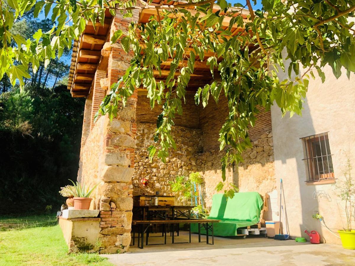 سانتا كولوما دي فارنرس Casa Rural Can Miquel - En Pleno Bosque Y Cerca De La Playa - Increibles Rutas Btt المظهر الخارجي الصورة