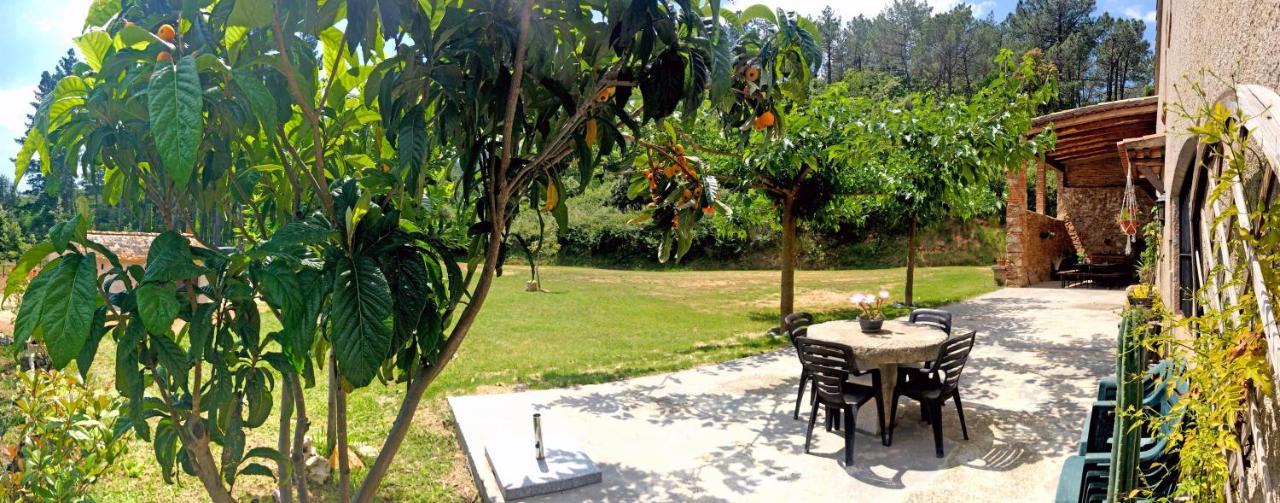 سانتا كولوما دي فارنرس Casa Rural Can Miquel - En Pleno Bosque Y Cerca De La Playa - Increibles Rutas Btt المظهر الخارجي الصورة