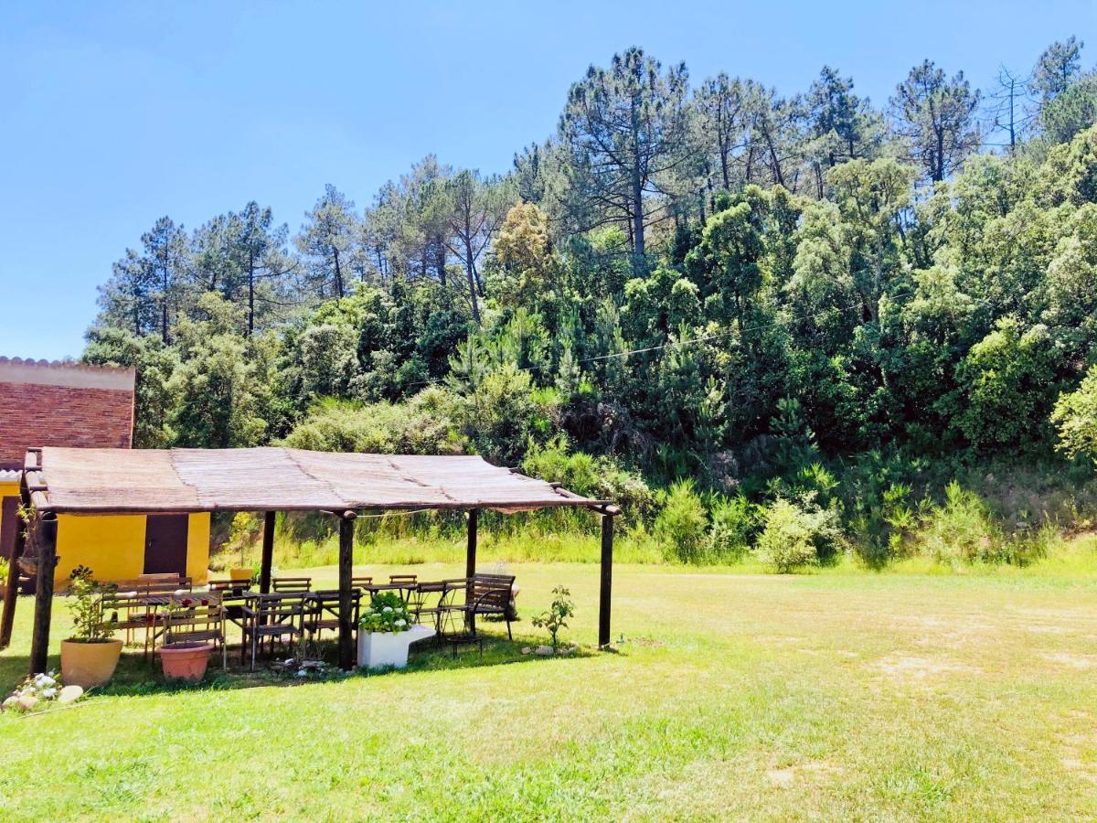 سانتا كولوما دي فارنرس Casa Rural Can Miquel - En Pleno Bosque Y Cerca De La Playa - Increibles Rutas Btt المظهر الخارجي الصورة