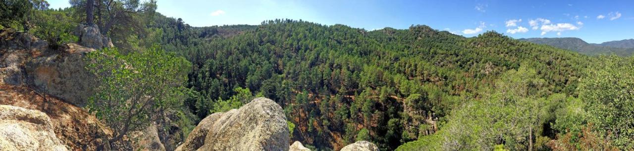 سانتا كولوما دي فارنرس Casa Rural Can Miquel - En Pleno Bosque Y Cerca De La Playa - Increibles Rutas Btt المظهر الخارجي الصورة