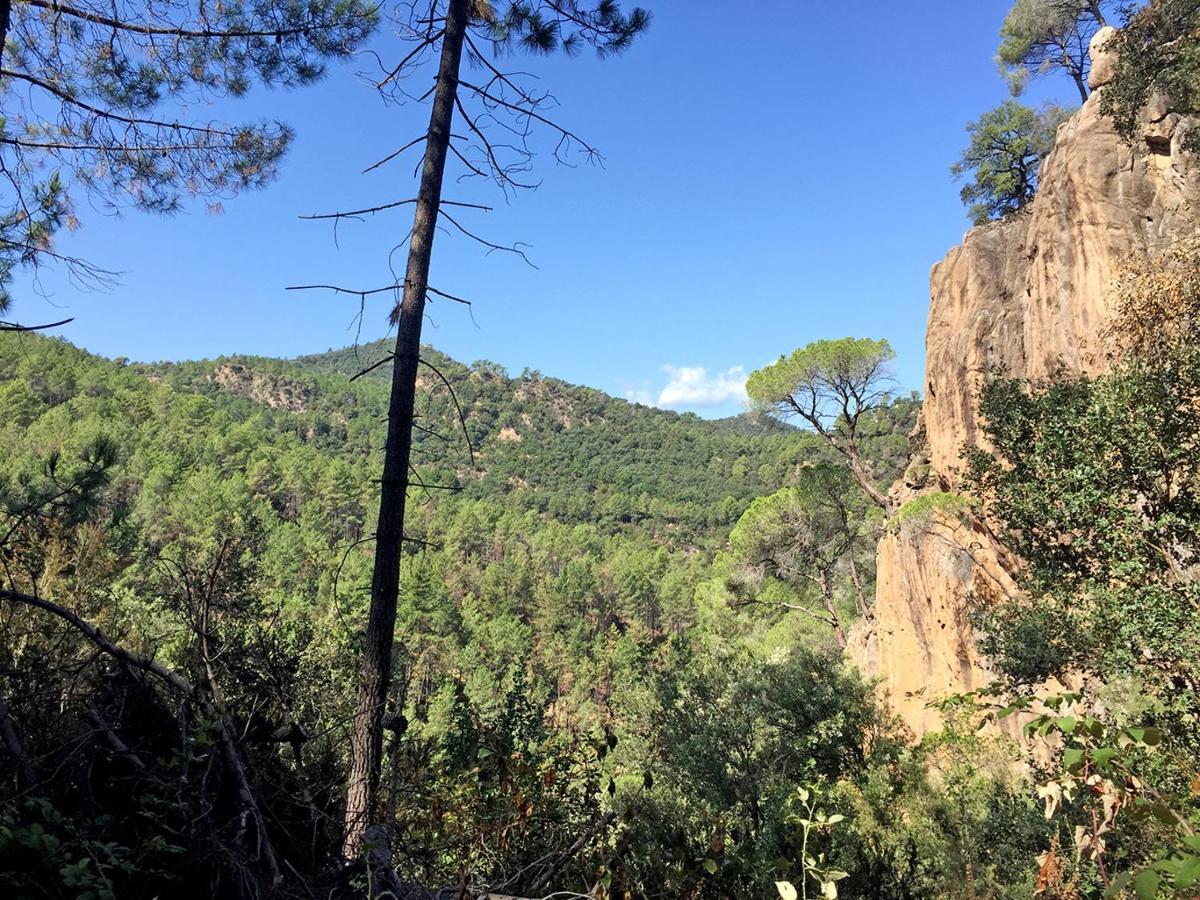 سانتا كولوما دي فارنرس Casa Rural Can Miquel - En Pleno Bosque Y Cerca De La Playa - Increibles Rutas Btt المظهر الخارجي الصورة
