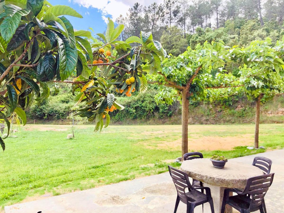 سانتا كولوما دي فارنرس Casa Rural Can Miquel - En Pleno Bosque Y Cerca De La Playa - Increibles Rutas Btt المظهر الخارجي الصورة