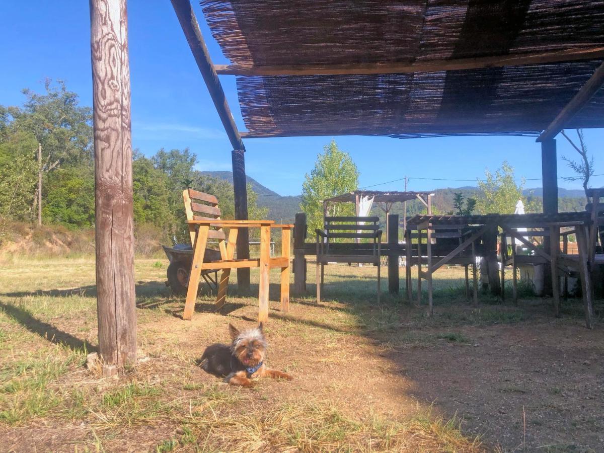 سانتا كولوما دي فارنرس Casa Rural Can Miquel - En Pleno Bosque Y Cerca De La Playa - Increibles Rutas Btt المظهر الخارجي الصورة