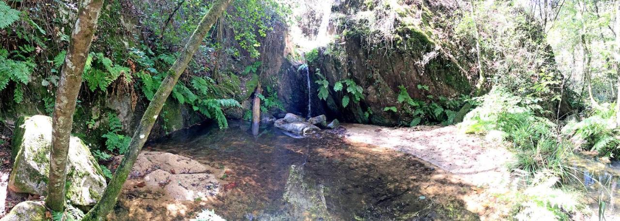 سانتا كولوما دي فارنرس Casa Rural Can Miquel - En Pleno Bosque Y Cerca De La Playa - Increibles Rutas Btt المظهر الخارجي الصورة