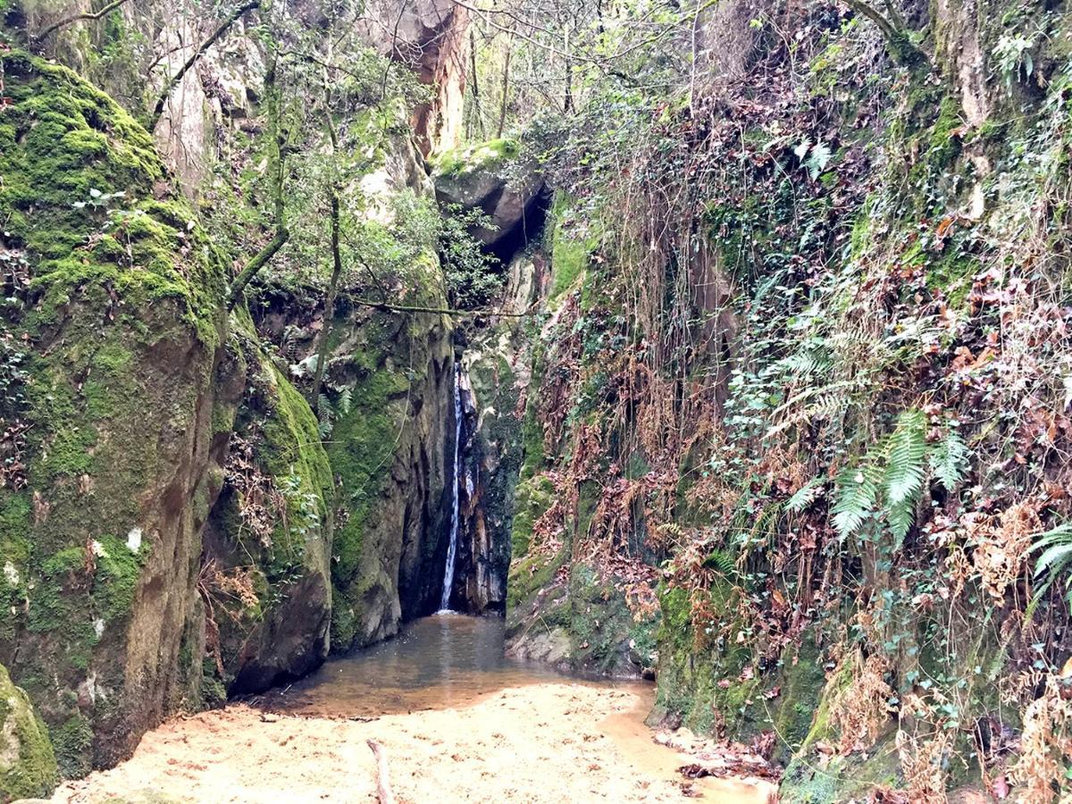 سانتا كولوما دي فارنرس Casa Rural Can Miquel - En Pleno Bosque Y Cerca De La Playa - Increibles Rutas Btt المظهر الخارجي الصورة